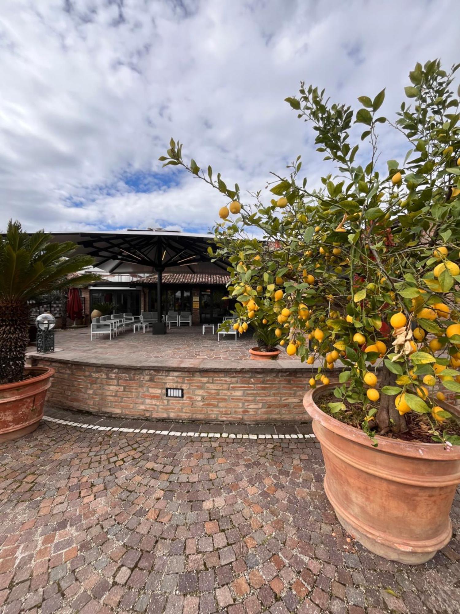 Agriturismo La Sapienza Monestirolo 외부 사진